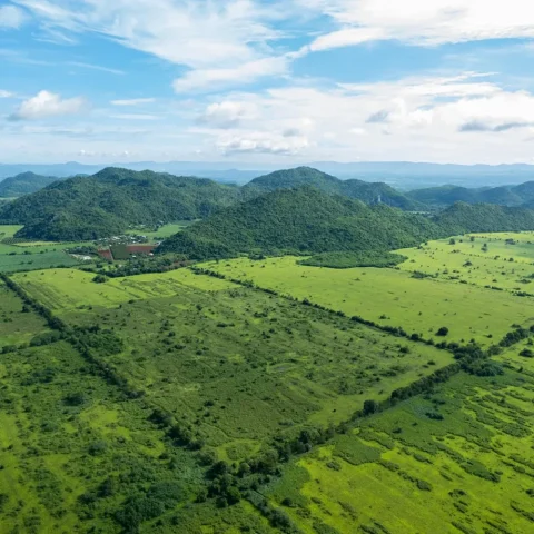 แปลงที่ 1 หอมศีล 812 ไร่