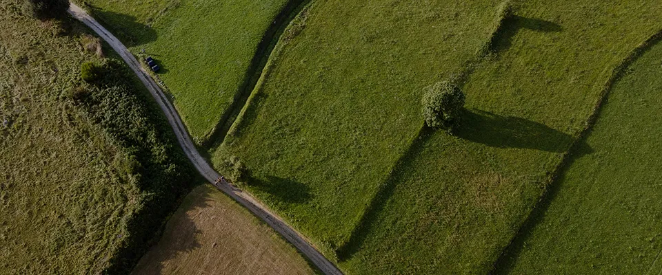 หอมศีล 30 ไร่